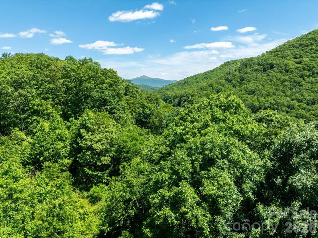 Land for sale in Fairview, North Carolina