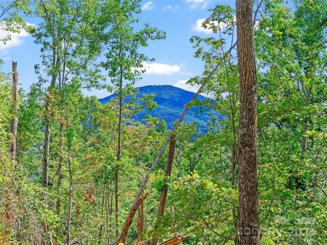 Land for sale in Fletcher, North Carolina
