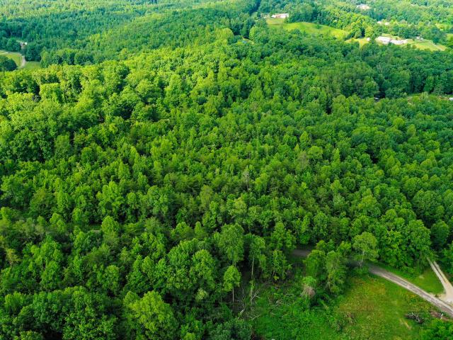 Land for sale in Williamsburg, Kentucky