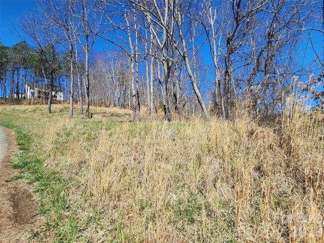 Land for sale in Mars Hill, North Carolina