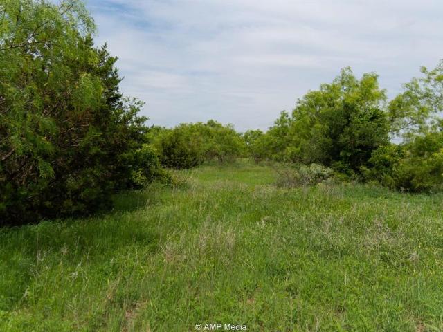 Property for sale in Callahan, Texas