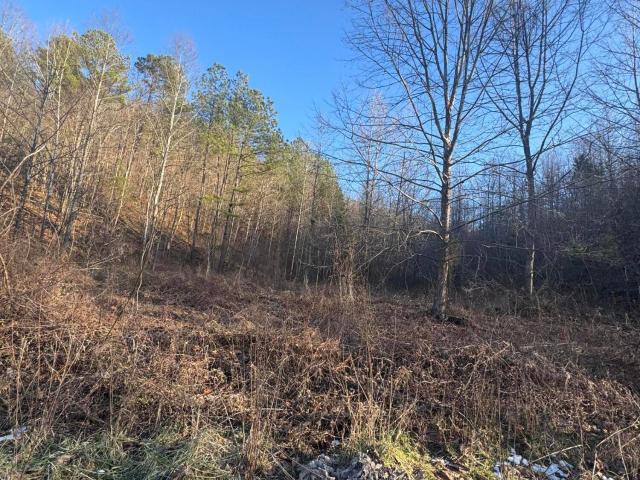 Land for sale in Manchester