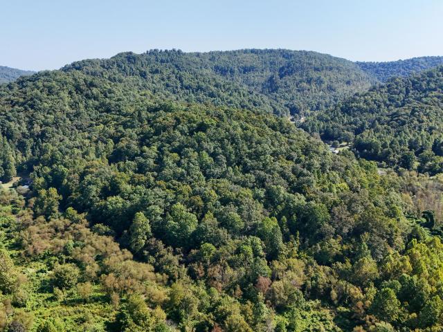 Land for sale in Flat Lick, Kentucky