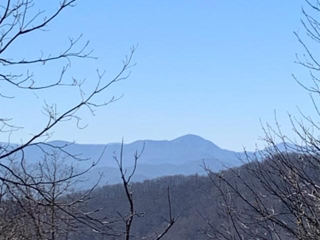 Land for sale in Fairview, North Carolina