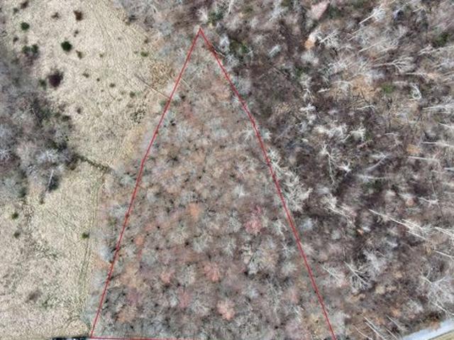 Land for sale in Crab Orchard, Kentucky