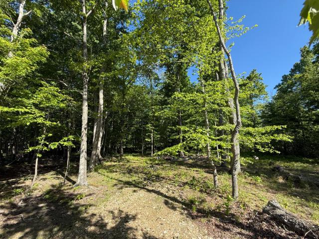 Land for sale in Crab Orchard, Kentucky