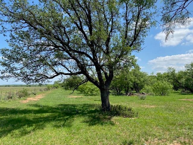 Land for sale in Callahan, Texas