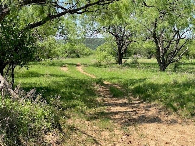 Land for sale in Callahan, Texas