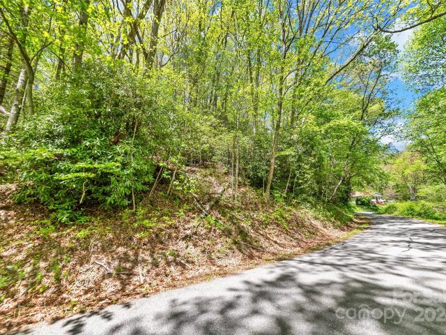 Land for sale in Spruce Pine, North Carolina