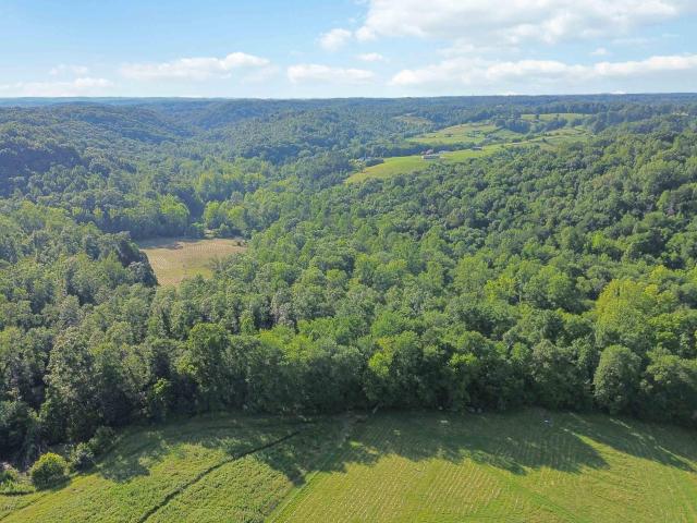 Land for sale in East Bernstadt