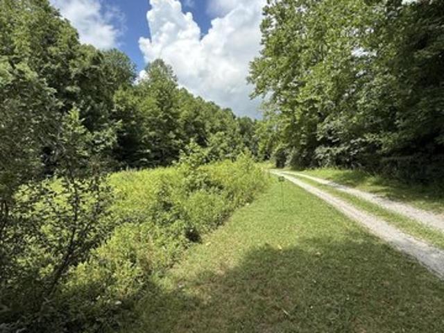 Land for sale in Woodbine, Kentucky