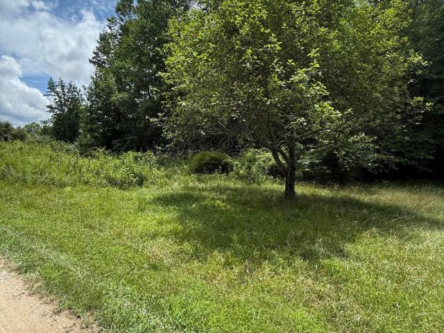 Land for sale in Woodbine, Kentucky