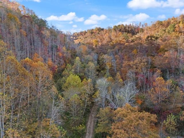 Land for sale in Manchester, Kentucky