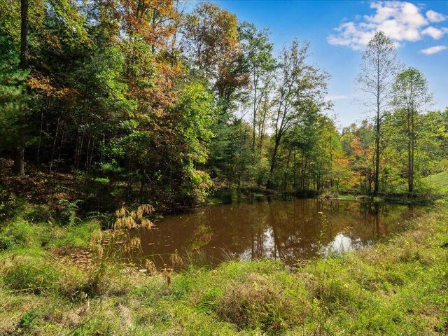 Land for sale in Wolfe, Kentucky