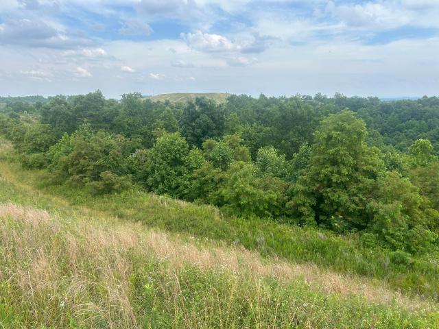 Land for sale in Leslie, Kentucky