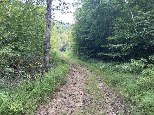 Land for sale in Cornettsville, Perry County
