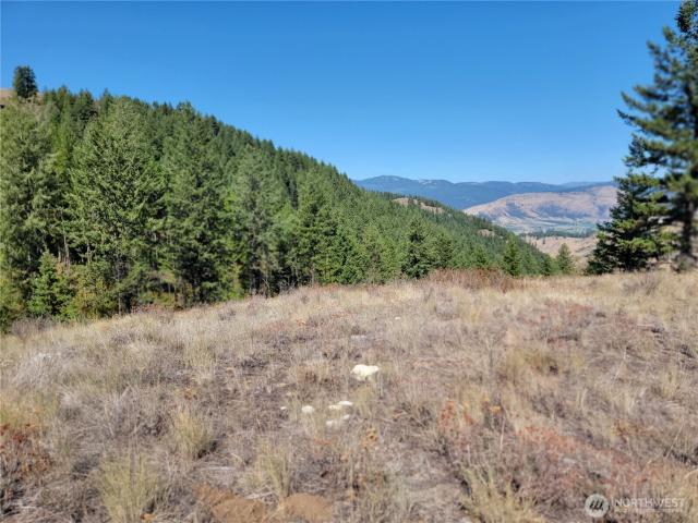 Land for sale in Danville, Washington