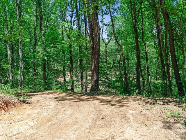 Land for sale in Haywood, North Carolina
