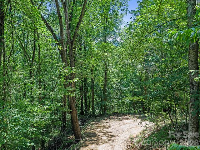Land for sale in Haywood, North Carolina