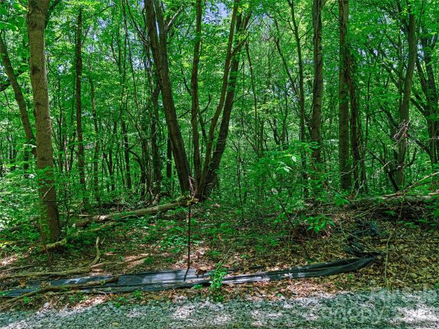 Land for sale in Haywood, North Carolina