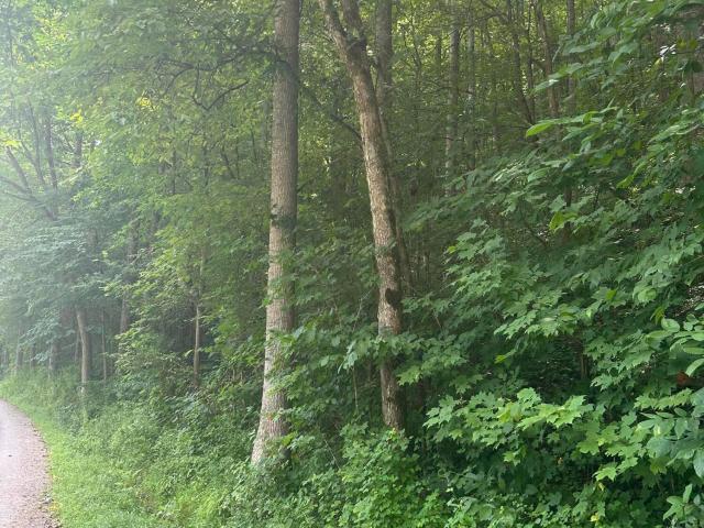Farm for sale in Manchester, Kentucky