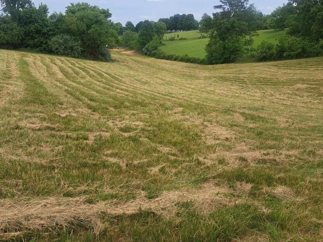Land for sale in Laurel, Kentucky