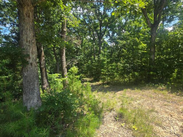 Land for sale in Powell, Kentucky