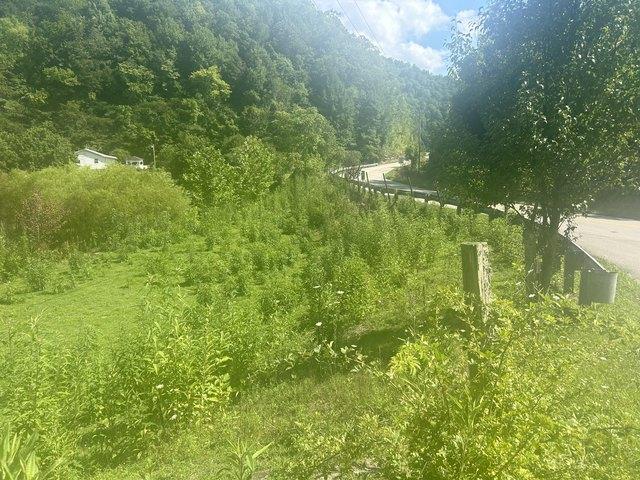 Land for sale in Oneida, Kentucky