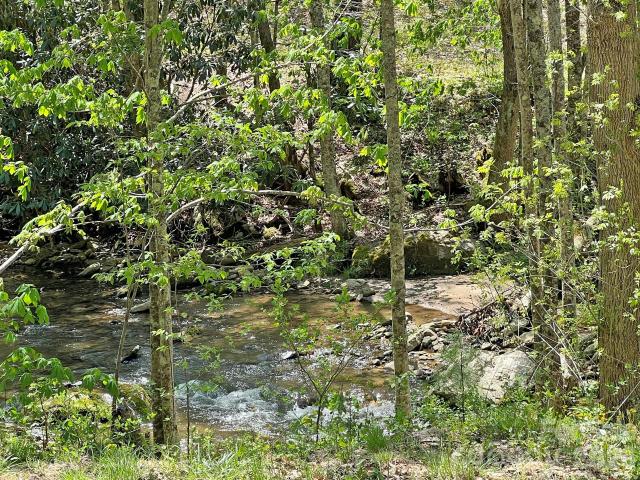 Land for sale in Hot Springs, North Carolina