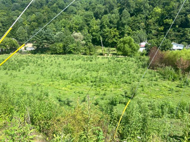 Land for sale in Oneida, Kentucky