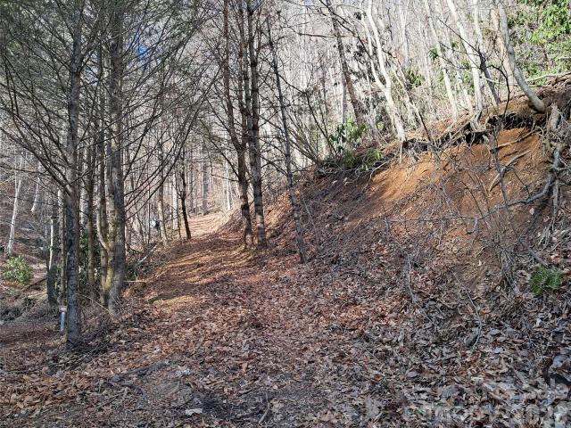 Land for sale in Haywood, North Carolina
