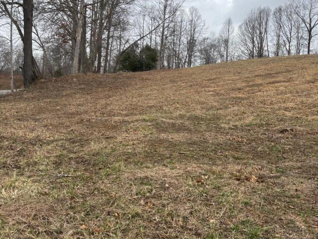 Land for sale in Laurel, Kentucky