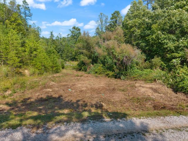 Land for sale in Falcon, Salyersville