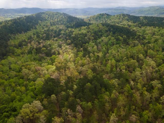 Land for sale in Ark