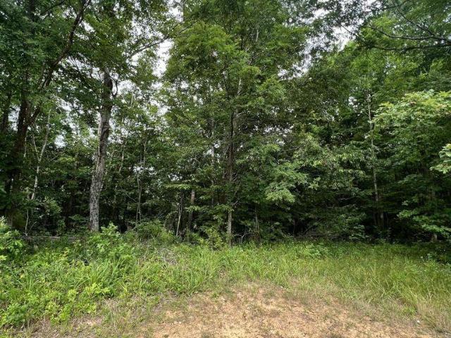 Farm for sale in Laurel, Kentucky
