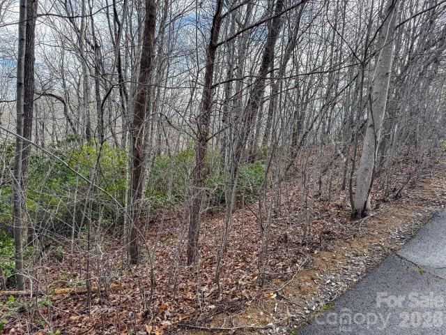 Land for sale in Black Mountain, North Carolina