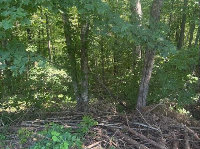 Land for sale in Burnside, Kentucky