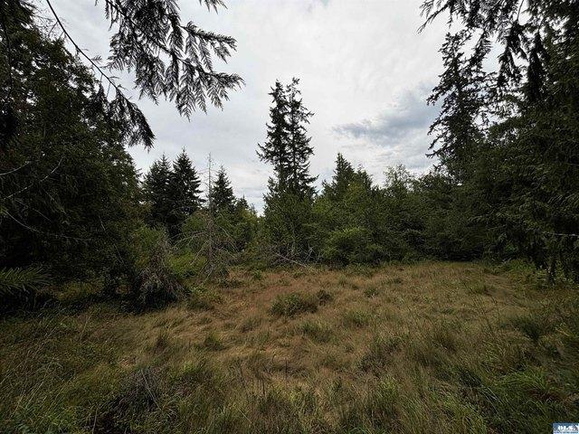 Land for sale in Port Angeles, Washington