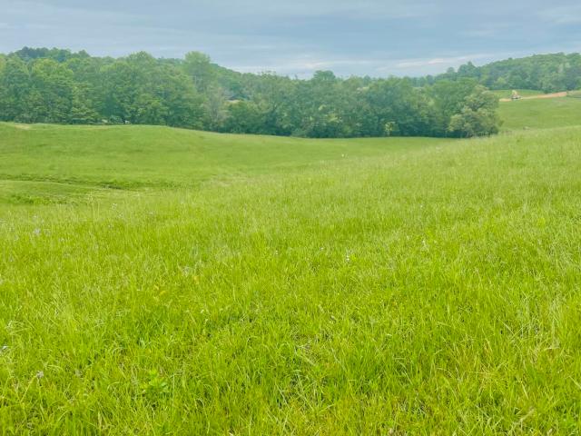 Land for sale in Williamsburg, Kentucky