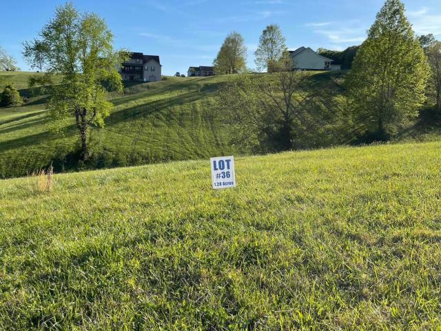 Land for sale in Williamsburg, Kentucky