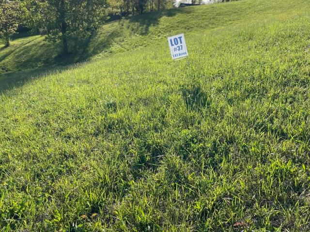 Land for sale in Williamsburg, Kentucky