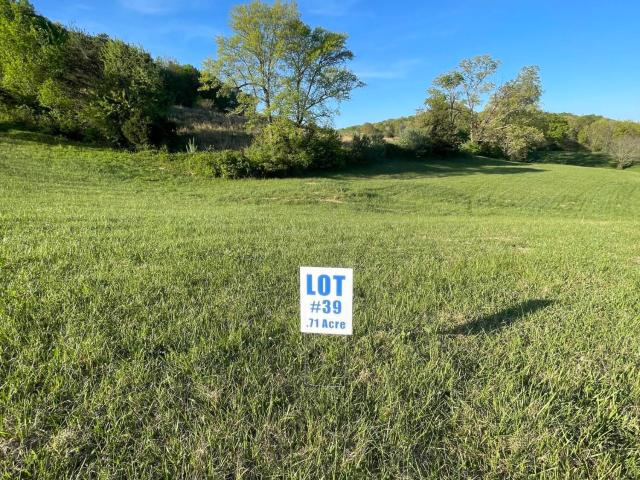 Land for sale in Williamsburg, Kentucky