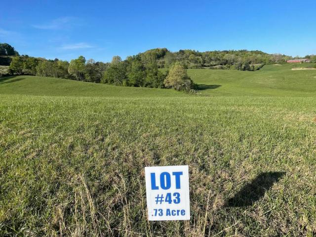 Land for sale in Williamsburg, Kentucky