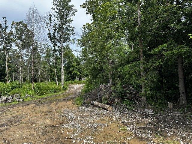Farm for sale in Corbin, Kentucky
