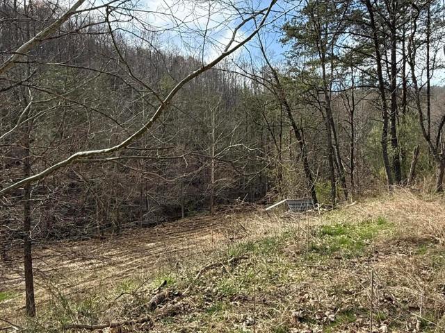 Land for sale in Gray, Kentucky