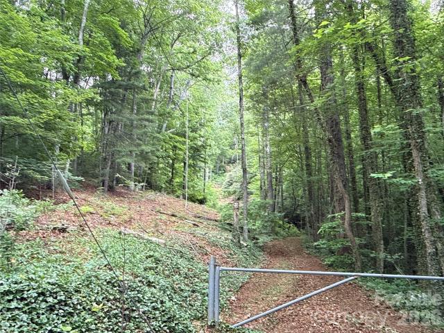 Land for sale in Black Mountain, North Carolina
