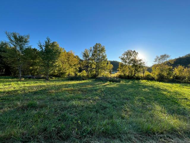 Land for sale in Conway, Berea