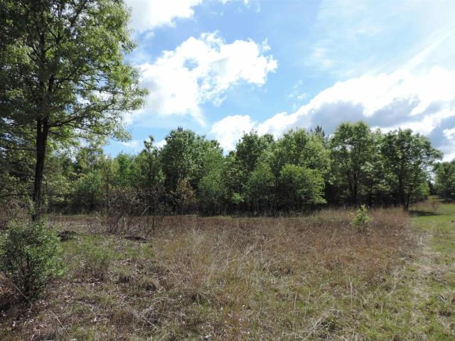 Land for sale in Wisconsin