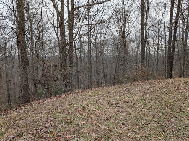 Land for sale in Beattyville, Kentucky