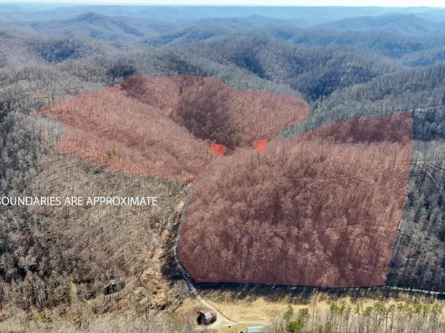 Land for sale in Oneida, Kentucky